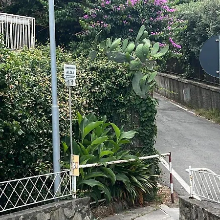 Welcome Riviera-primavera 1a- Vista Mare- Spazioso E Comodo Appartamento-2 Bagni-wifi-aria Condizionata In Ogni Stanza-garage A Pagamento 15 Euro Al Giorno Апартаменти Рапалло